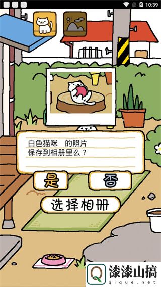 猫咪后院下载中文版